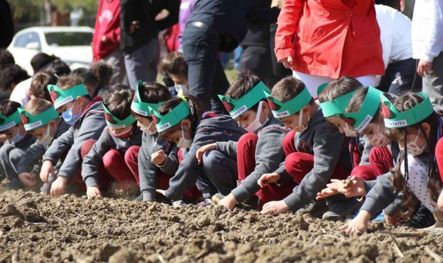 Çocuklar mor patates tohumlarını toprakla buluşturdu