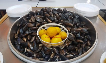 &#039;&#039;Çocuklarının rızkıyla oynuyorsun&#039;&#039; Midyeci krizinde son nokta.