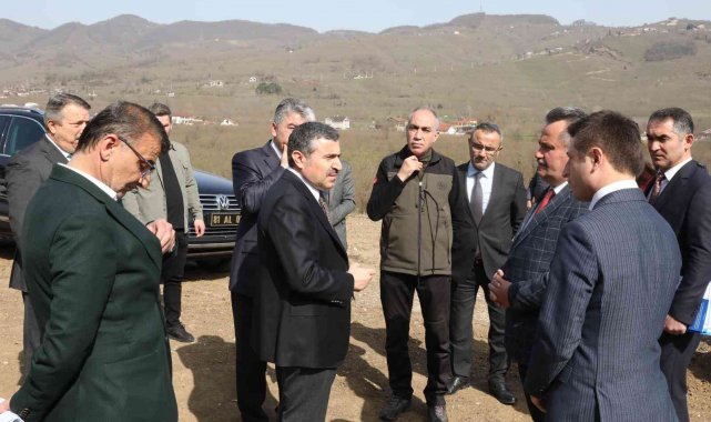 Cumayeri'nde sokak hayvanları için bakımevi yapılacak