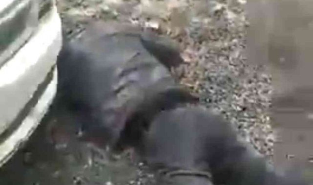 Darp edip başını ezmeye çalışmışlardı: 2 kişi gözaltına alındı