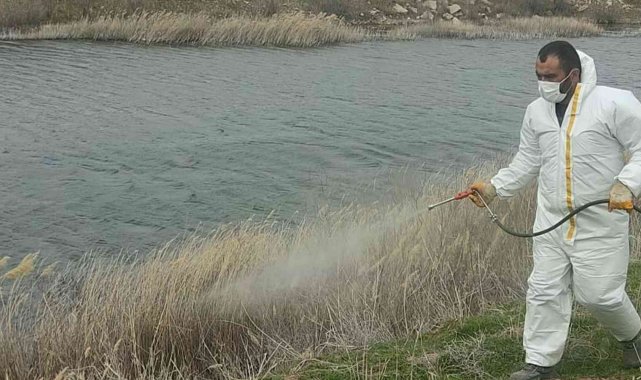 Delice'de yaz öncesi ilaçlama