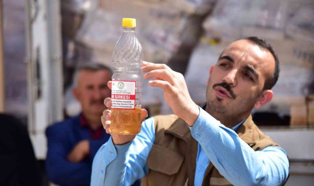 Demirci Kirazı, büyükşehir desteği ile zararlılardan korunacak
