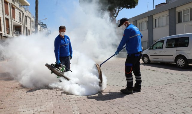 Didim Belediyesi ilaçlama çalışmalarına başladı