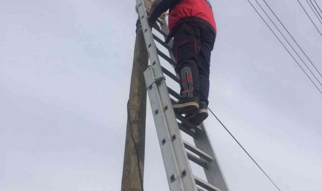 Direkte mahsur kalan kedi kurtarıldı