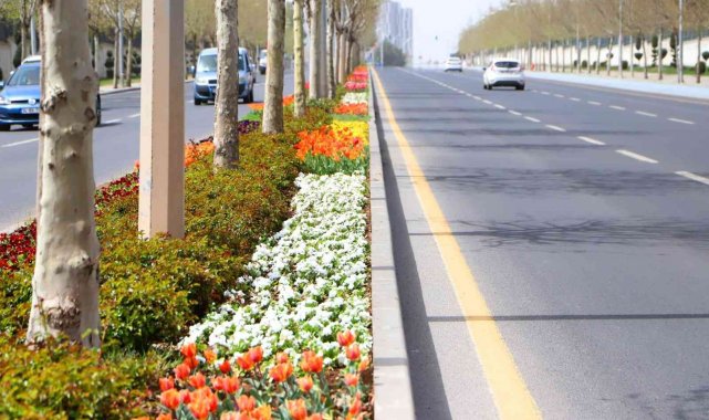 Diyarbakır 3 milyon 300 bin çiçekle rengarenk