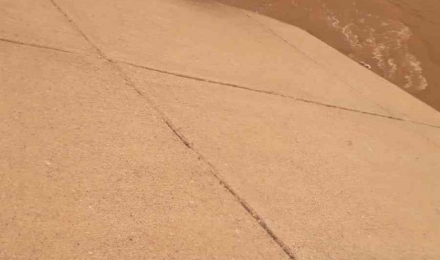 Diyarbakır&#039;da su kanalına düşen ineği jandarma personeli kurtardı