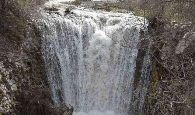 Doğangir şelalesi piknik ve mesire alanı olacak