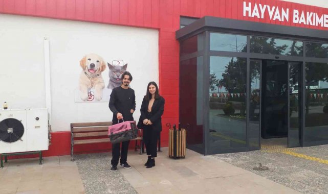 Doğum yapmakta zorlanan kediye sezaryen yapılıp sahiplendirildi