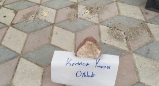 Elazığ'da yürekleri ısıtan görüntü