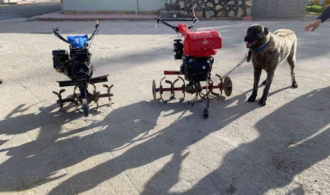 Elazığ'da çapa motoru ve kangal köpeği çalan şüpheliler yakalandı