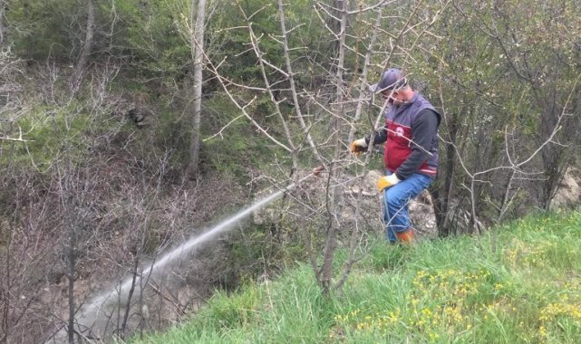 Elazığ'da larva ile mücadele çalışması
