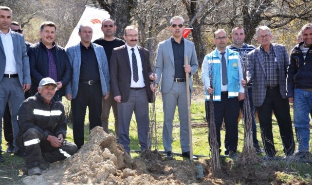 Emet&#039;te Küreci cinsi elma fidanları toprakla buluştu