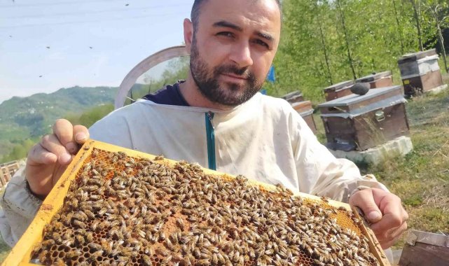 En ballı ilde arıcılar sezona hazır