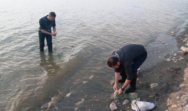 Erçek Gölü'ndeki inci kefali balıkları da korunuyor