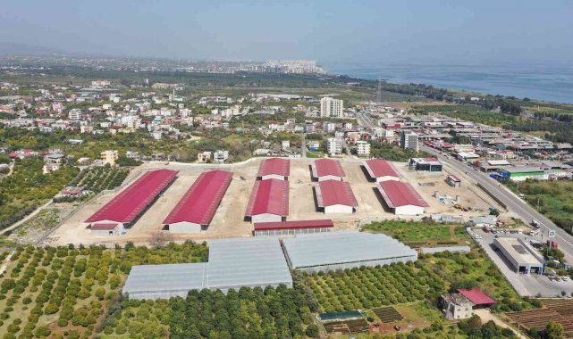 Erdemli Hal Tesisinin yüzde 75&#039;i tamamlandı