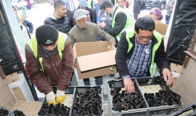 Ereğli Belediyesinden üretime destek