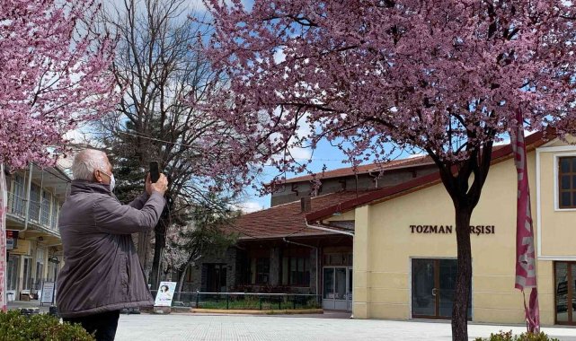 Erik ağaçlarının pembe çiçekleri Eskişehir&#039;i süsledi