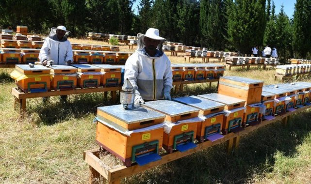 Erzincan'da arıcılara şeker desteği verilecek