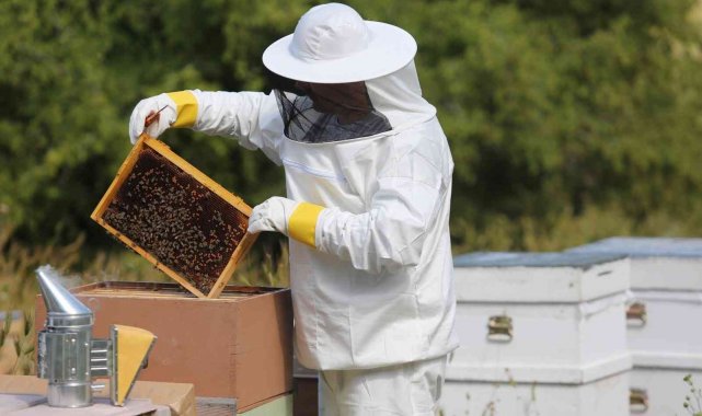 Erzincan'da bal üreticilerine 216 ton şeker dağıtıldı