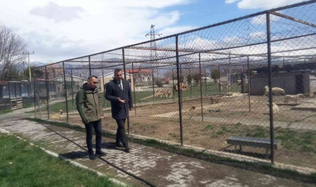 Erzincan&#039;da hayvan bakımevi denetlendi