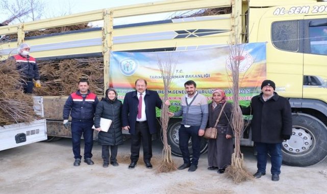 Erzincan&#039;da meyvecilik sektörüne yatırımlar sürüyor