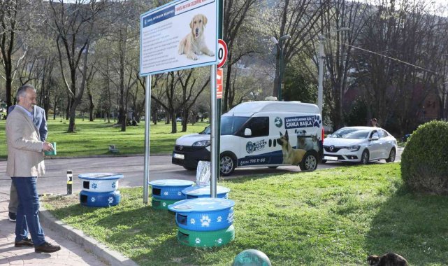 Eski lastikler kedilere ev oldu