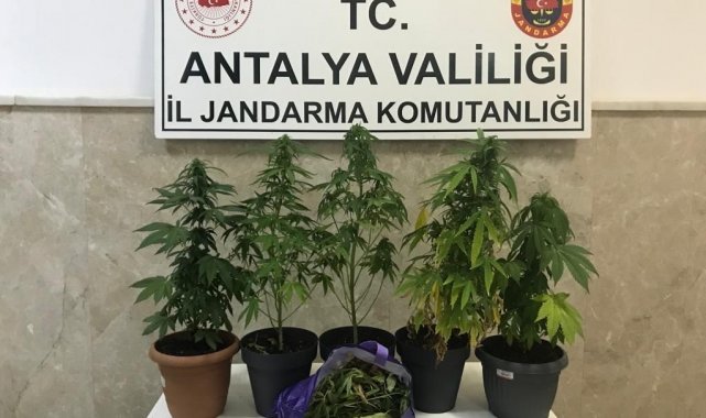 Evde uyuşturucu imal eden 2 şüpheli yakalandı