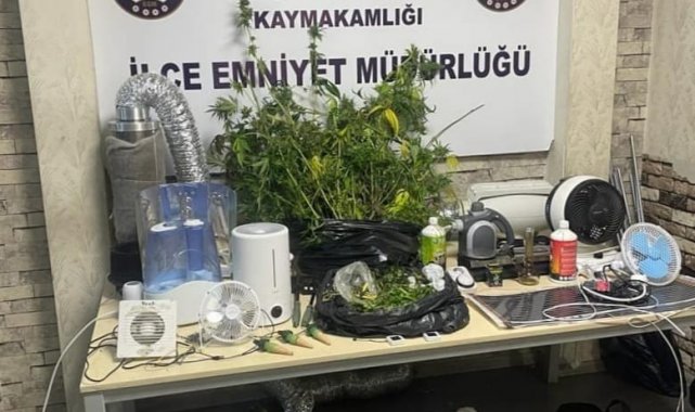 Evi uyuşturucu tarlasına dönüştürdüler