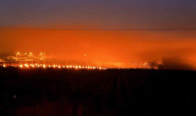 Fransa'da üzüm bağlarını korumak için kandil yakıldı