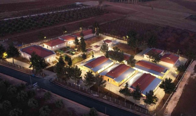 Gaziantep'te 4 ayda 150 sokak hayvanına yeni yuva bulundu