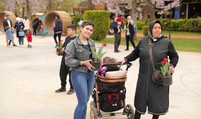 Gaziantep&#039;te lale devri