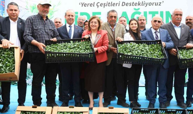 Gaziantep'te tarımsal üretime 2 milyon fide desteği