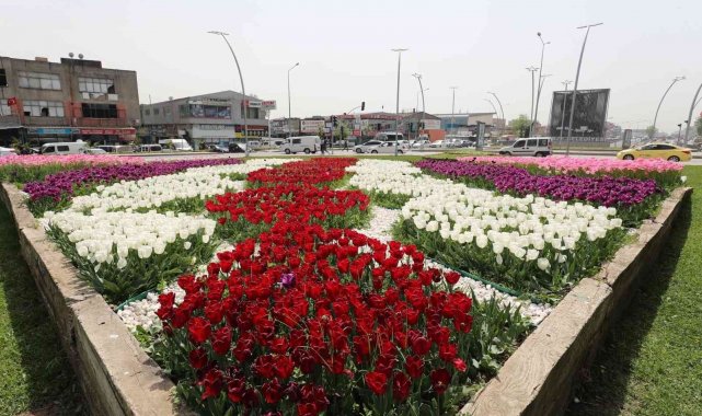 Gebze rengarenk çiçeklerle donatılıyor