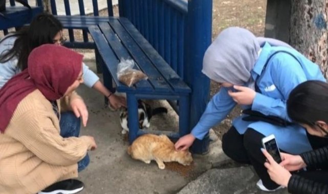 Gediz Sağlık Hizmetleri MYO'da "Bir Kap Su, Bir Kap Mama" etkinliği