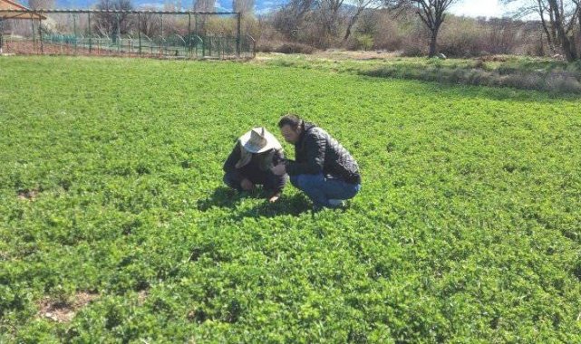 Gedizli üreticiler &quot;Hortumlu Böcek&quot; zararlısı ile mücadele hakkında bilgilendirildi
