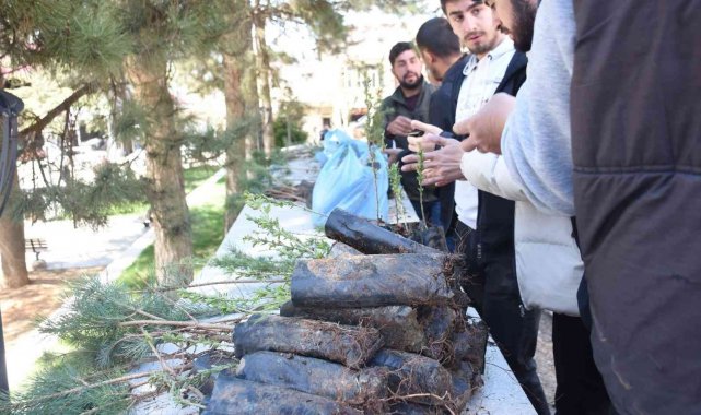 Genç'te vatandaşlara fidan dağıtıldı