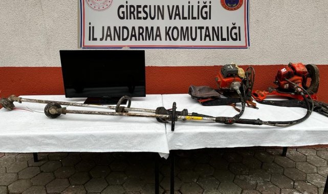 Giresun'da hırsızlık vakaları