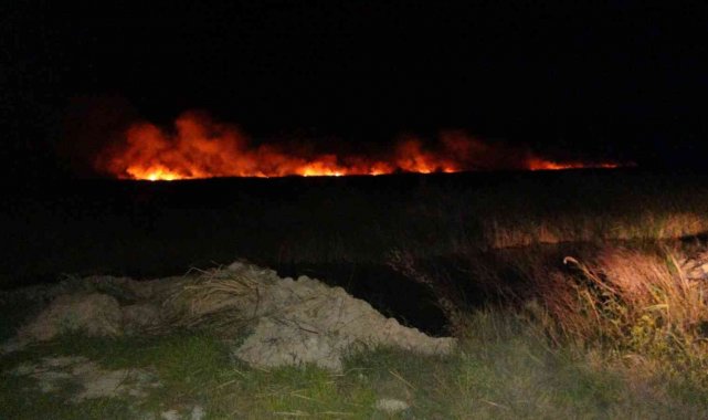 Göksu Deltası'nda yangın