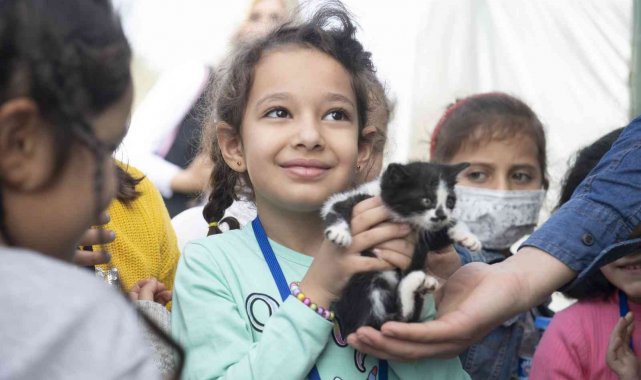 Gönüllüler sokak hayvanlarını besledi