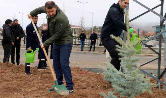 Hamidiye 350 fidanla taçlandı