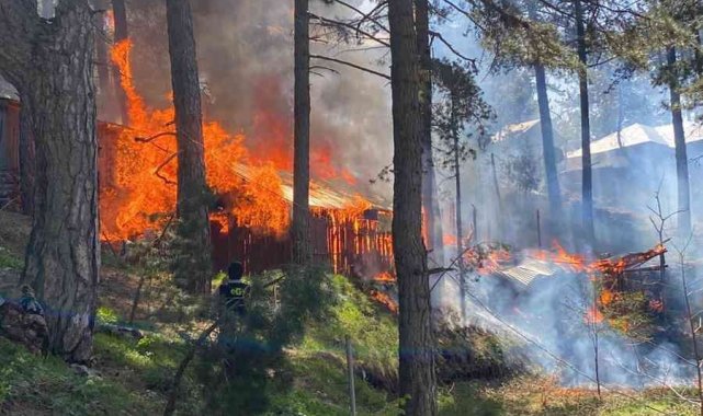 Hatay'da Amanoslar Üçkoz Yaylasında çıkan yangında 5 ev yandı