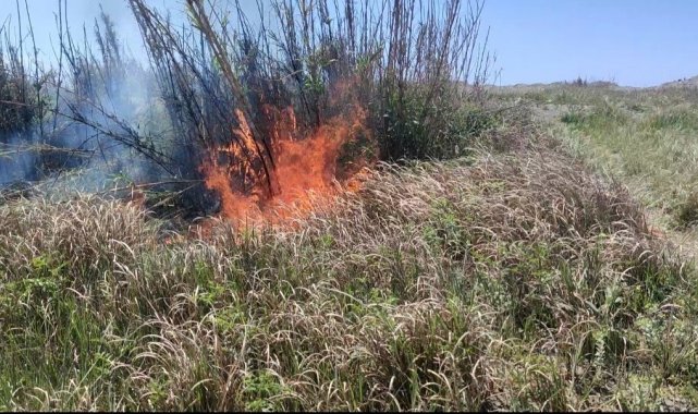 Hatay&#039;da sazlık alanda yangın