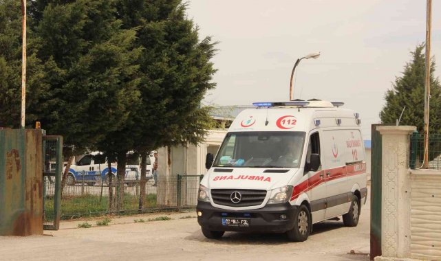 Hayvan kesimi bırakıp kavgaya tutuştular