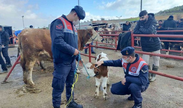 Hayvan pazarında HAYDİ ekiplerinden denetim