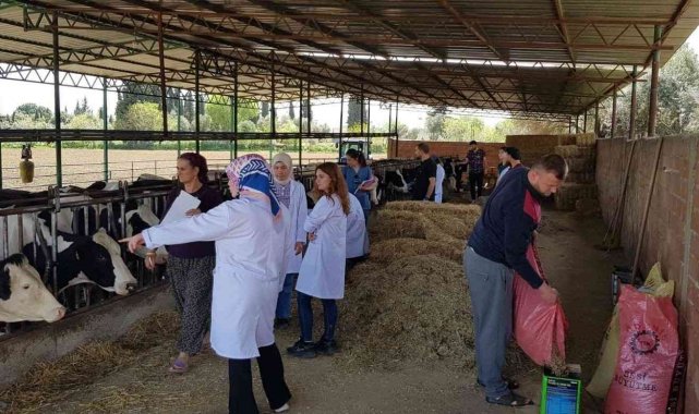 Hayvan varlığının korunmasına DEÜ katkısı