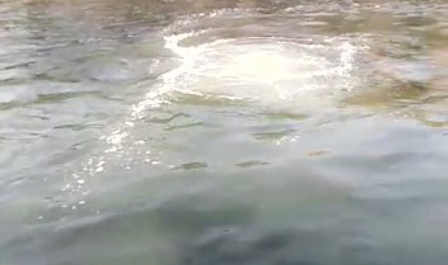 Heybeliada'da derin deniz deşarj hattı patladı, lağım suyu deniz yüzeyine çıktı