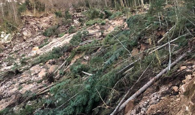 Heyelanda ağaçlar devrildi