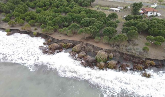 Hırçın dalgalar 150 metre kumsalı yuttu, evler tehdit altında