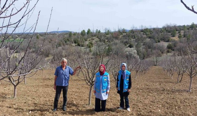 Hisarcık'ta elma bahçelerinde hastalık kontrolü