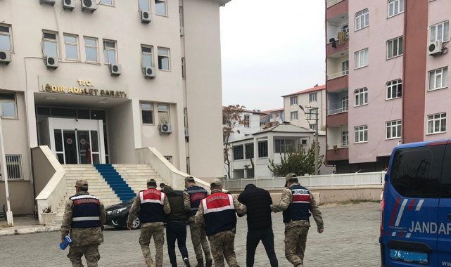 Iğdır'da koyun hırsızlığı: 3 şüpheli tutuklandı